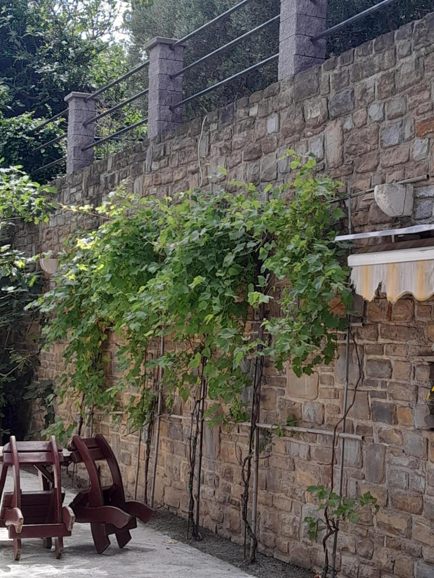 Apartmaji Strunjan Bagian luar foto